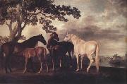 George Stubbs Mares and Foais in a Landscape (nn03) oil painting reproduction